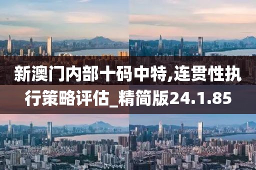 新澳门内部十码中特,连贯性执行策略评估_精简版24.1.85