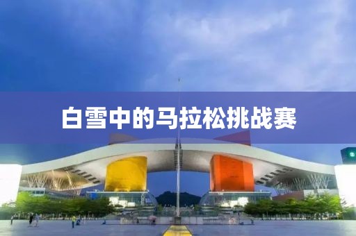 白雪中的马拉松挑战赛