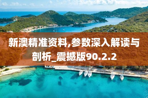 新澳精准资料,参数深入解读与剖析_震撼版90.2.2