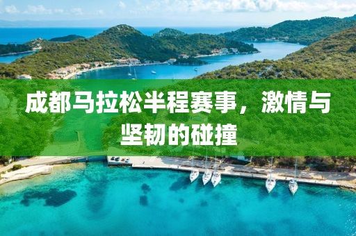 成都马拉松半程赛事，激情与坚韧的碰撞