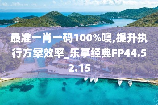 最准一肖一码100%噢,提升执行方案效率_乐享经典FP44.52.15