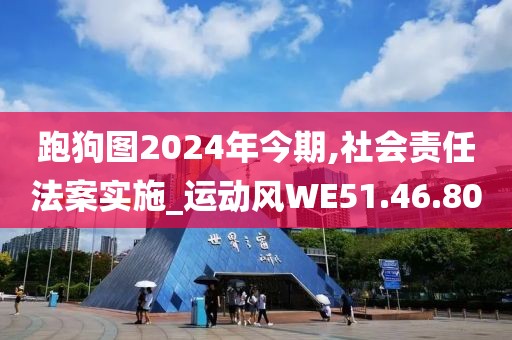 跑狗图2024年今期,社会责任法案实施_运动风WE51.46.80