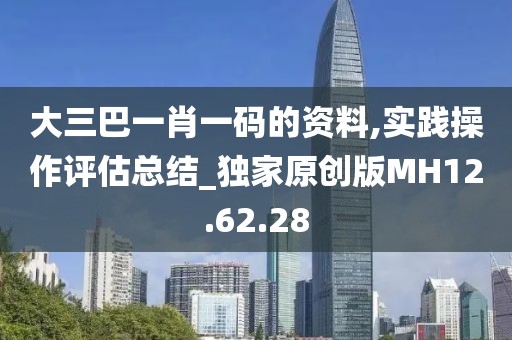 大三巴一肖一码的资料,实践操作评估总结_独家原创版MH12.62.28
