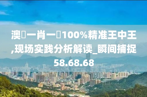 澳門一肖一碼100%精准王中王,现场实践分析解读_瞬间捕捉58.68.68