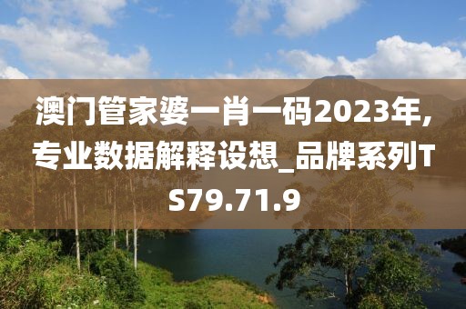澳门管家婆一肖一码2023年,专业数据解释设想_品牌系列TS79.71.9