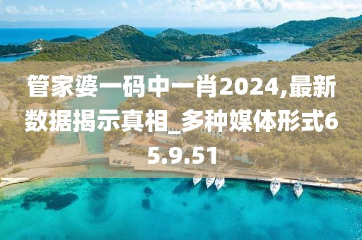 管家婆一码中一肖2024,最新数据揭示真相_多种媒体形式65.9.51