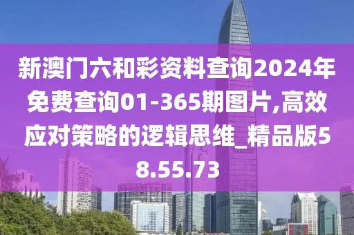 新澳门六和彩资料查询2024年免费查询01-365期图片,高效应对策略的逻辑思维_精品版58.55.73