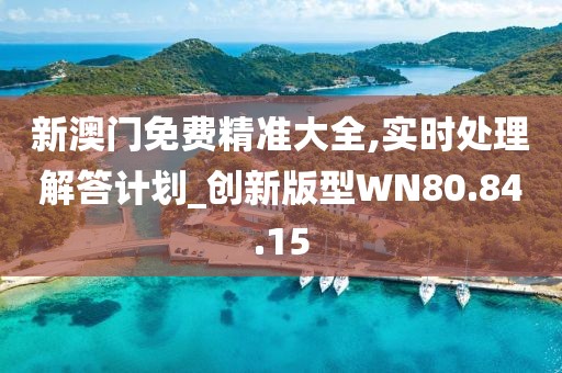 新澳门免费精准大全,实时处理解答计划_创新版型WN80.84.15