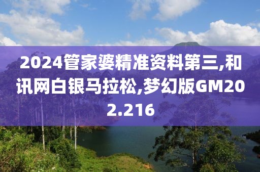 2024管家婆精准资料第三,和讯网白银马拉松,梦幻版GM202.216