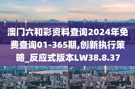 澳门六和彩资料查询2024年免费查询01-365期,创新执行策略_反应式版本LW38.8.37