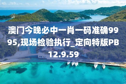 澳门今晚必中一肖一码准确9995,现场检验执行_定向特版PB12.9.59