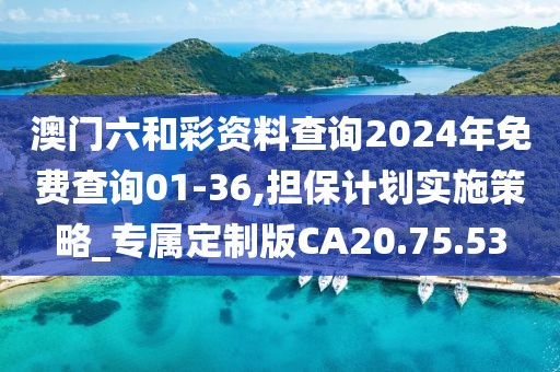澳门六和彩资料查询2024年免费查询01-36,担保计划实施策略_专属定制版CA20.75.53