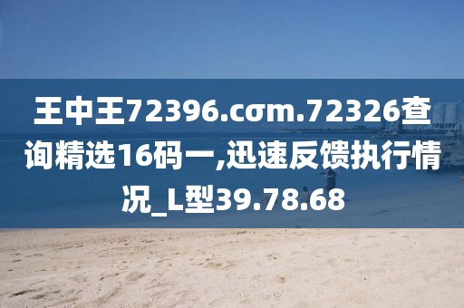 王中王72396.cσm.72326查询精选16码一,迅速反馈执行情况_L型39.78.68