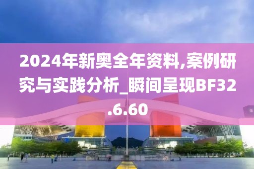 2024年新奥全年资料,案例研究与实践分析_瞬间呈现BF32.6.60