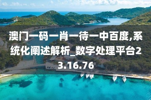 澳门一码一肖一待一中百度,系统化阐述解析_数字处理平台23.16.76