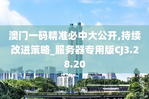 澳门一码精准必中大公开,持续改进策略_服务器专用版CJ3.28.20