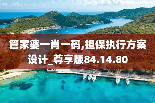 管家婆一肖一码,担保执行方案设计_尊享版84.14.80
