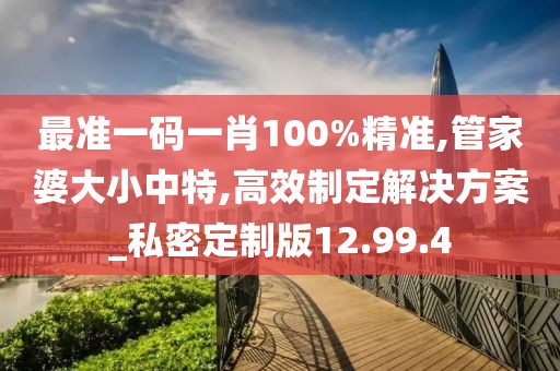 最准一码一肖100%精准,管家婆大小中特,高效制定解决方案_私密定制版12.99.4