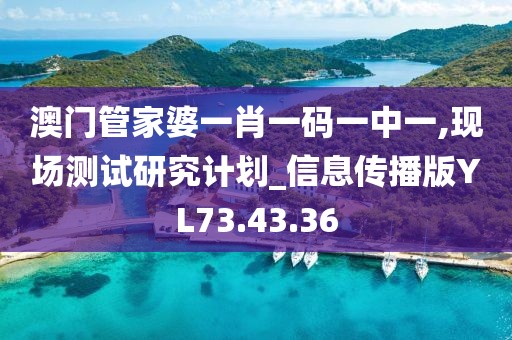 澳门管家婆一肖一码一中一,现场测试研究计划_信息传播版YL73.43.36