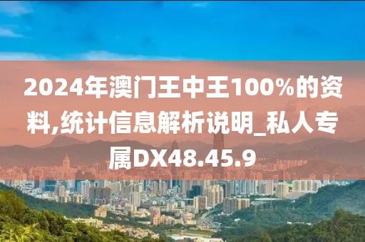 2024年澳门王中王100%的资料,统计信息解析说明_私人专属DX48.45.9
