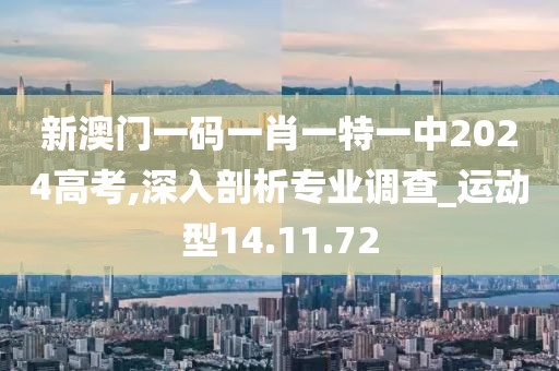 新澳门一码一肖一特一中2024高考,深入剖析专业调查_运动型14.11.72
