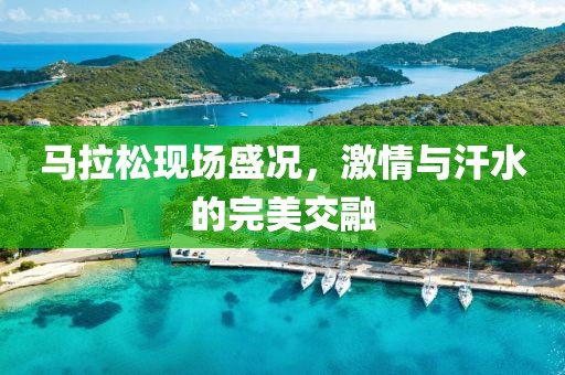 马拉松现场盛况，激情与汗水的完美交融