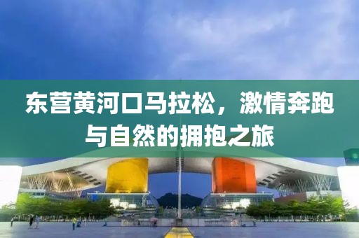 东营黄河口马拉松，激情奔跑与自然的拥抱之旅