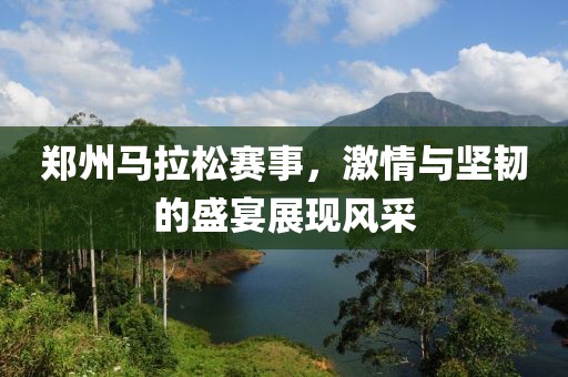 郑州马拉松赛事，激情与坚韧的盛宴展现风采