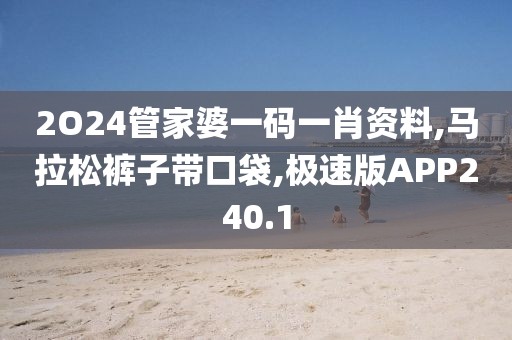 2O24管家婆一码一肖资料,马拉松裤子带口袋,极速版APP240.1