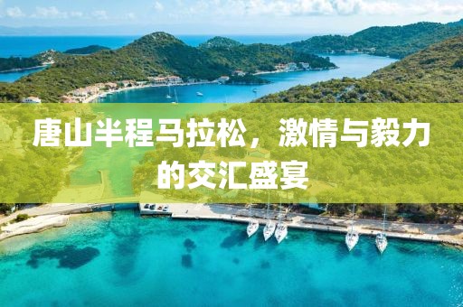 唐山半程马拉松，激情与毅力的交汇盛宴
