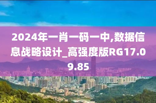 2024年一肖一码一中,数据信息战略设计_高强度版RG17.09.85