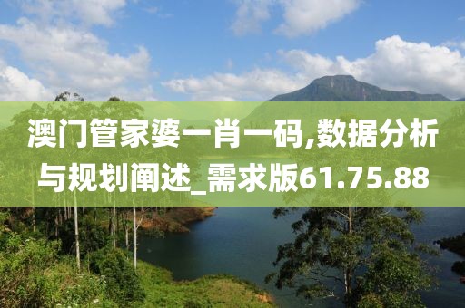 澳门管家婆一肖一码,数据分析与规划阐述_需求版61.75.88