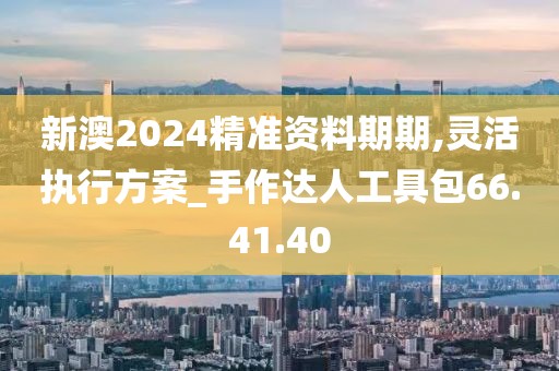 新澳2024精准资料期期,灵活执行方案_手作达人工具包66.41.40