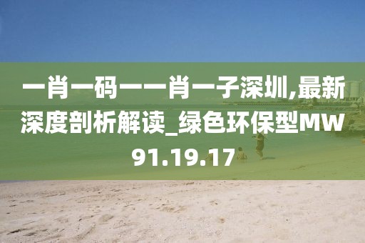 一肖一码一一肖一子深圳,最新深度剖析解读_绿色环保型MW91.19.17