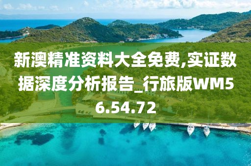 新澳精准资料大全免费,实证数据深度分析报告_行旅版WM56.54.72