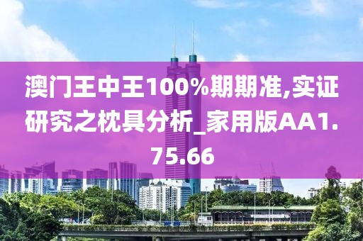 澳门王中王100%期期准,实证研究之枕具分析_家用版AA1.75.66