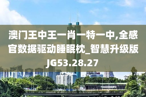 澳门王中王一肖一特一中,全感官数据驱动睡眠枕_智慧升级版JG53.28.27