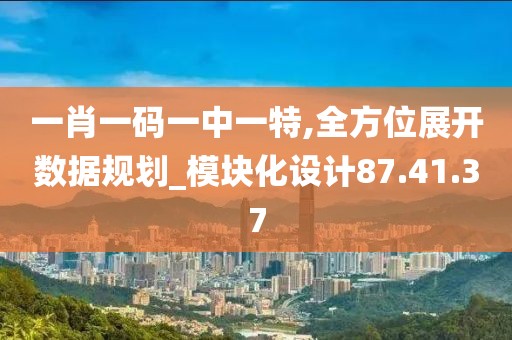 一肖一码一中一特,全方位展开数据规划_模块化设计87.41.37