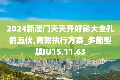 2024新澳门天天开好彩大全孔的五伏,高效执行方案_多能型版IU15.11.63