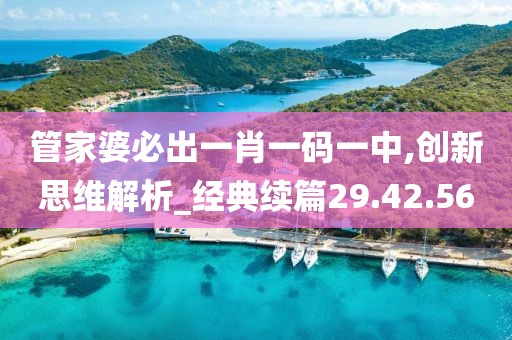 管家婆必出一肖一码一中,创新思维解析_经典续篇29.42.56