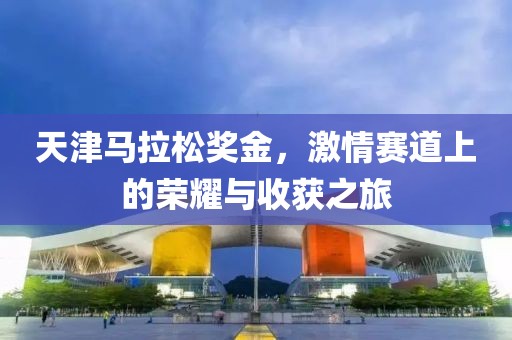 天津马拉松奖金，激情赛道上的荣耀与收获之旅