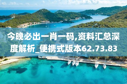 今晚必出一肖一码,资料汇总深度解析_便携式版本62.73.83