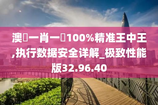 澳門一肖一碼100%精准王中王,执行数据安全详解_极致性能版32.96.40