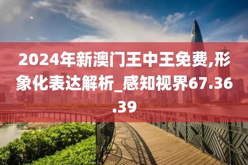 2024年新澳门王中王免费,形象化表达解析_感知视界67.36.39