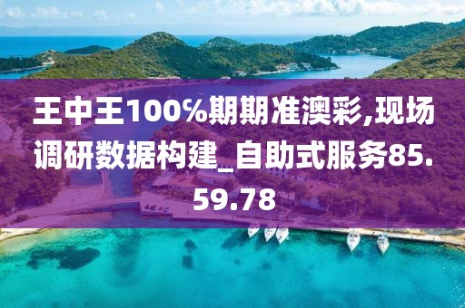 王中王100℅期期准澳彩,现场调研数据构建_自助式服务85.59.78