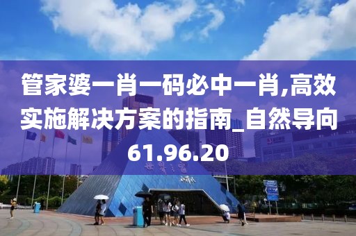 管家婆一肖一码必中一肖,高效实施解决方案的指南_自然导向61.96.20