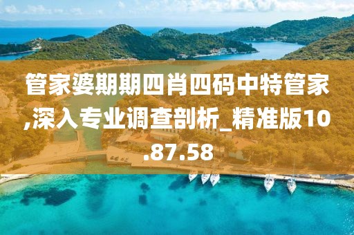 管家婆期期四肖四码中特管家,深入专业调查剖析_精准版10.87.58