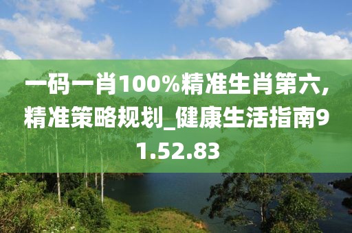 一码一肖100%精准生肖第六,精准策略规划_健康生活指南91.52.83