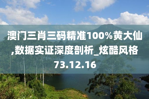 澳门三肖三码精准100%黄大仙,数据实证深度剖析_炫酷风格73.12.16