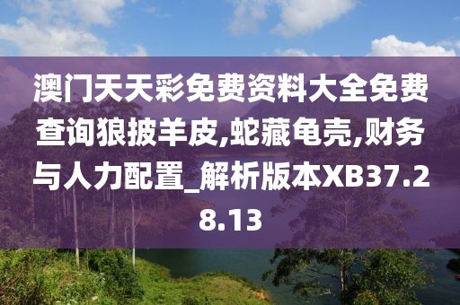 澳门天天彩免费资料大全免费查询狼披羊皮,蛇藏龟壳,财务与人力配置_解析版本XB37.28.13